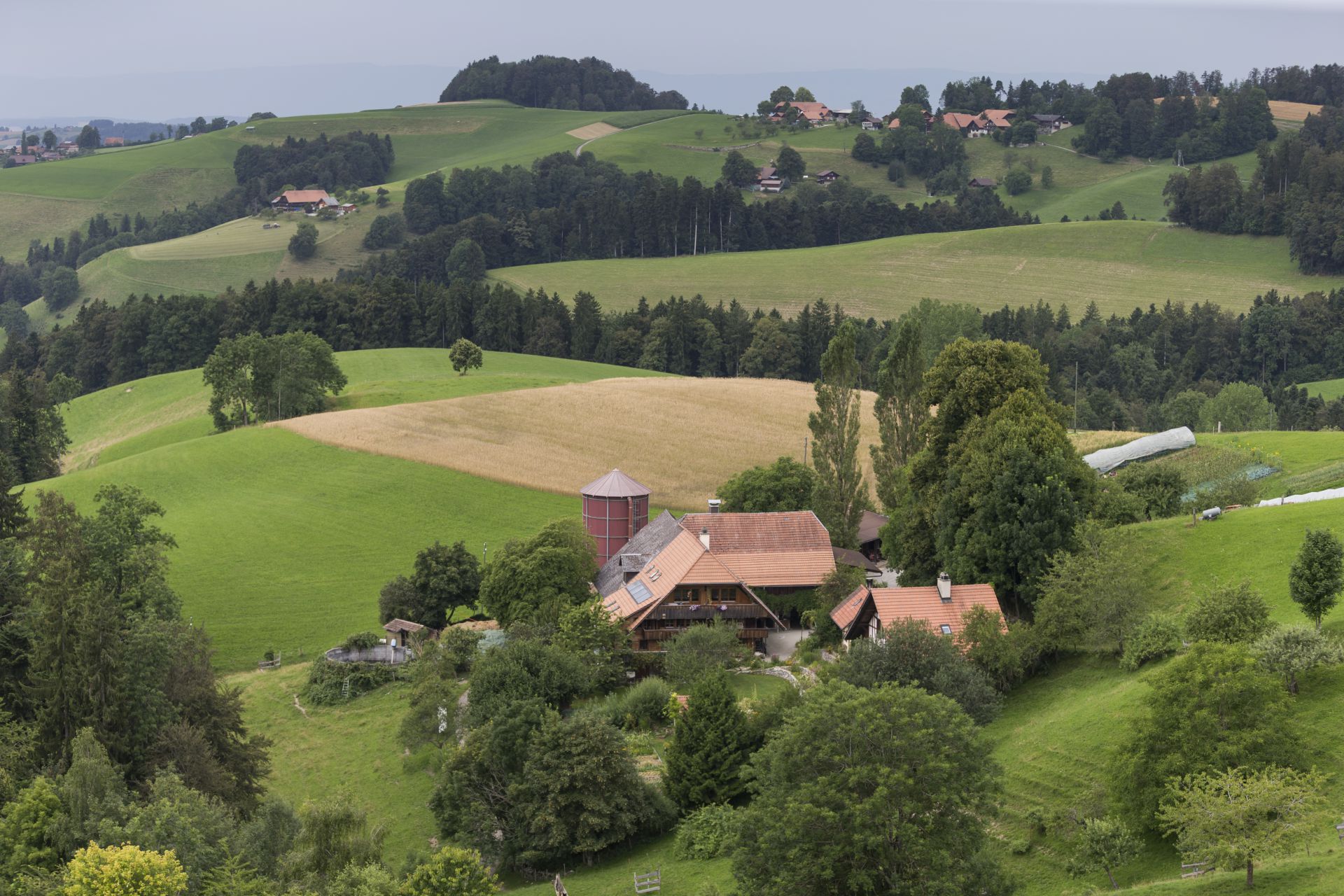 Der Demeter-Hof in Niedermuhlern mit 20,4 ha Land und 2 ha Wald.