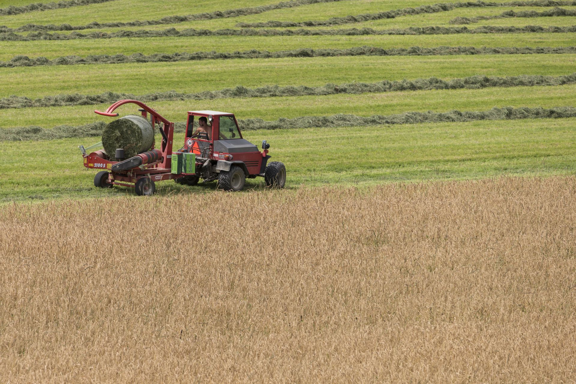 Der Landwirtschaftsbetrieb schafft sinnvolle Arbeitsplätze in der Sozialtherapie.