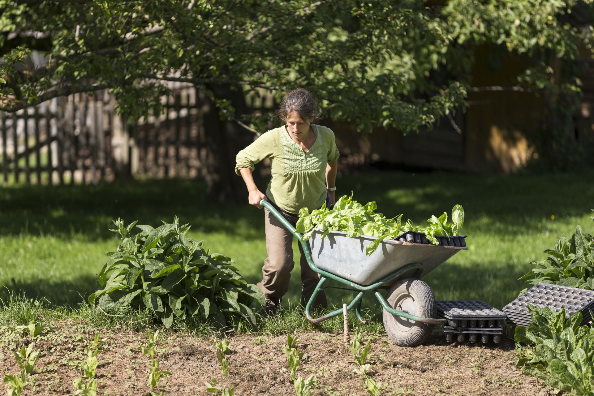 Die biologisch-dynamische Landwirtschaft und der Gemüse-, Kräuter- und Blumengarten bieten der Hofgemeinschaft Ratzenbergli die hauptsächliche Arbeitsgrundlage.