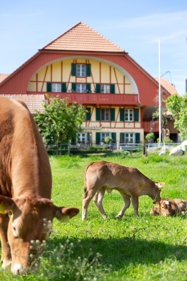 Hofgemeinschaft Alma Verde